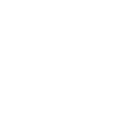 logo NOVO